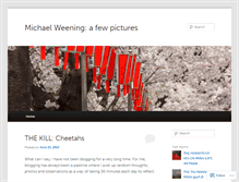 Tablet Screenshot of michaelweening.com
